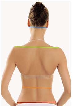 Диагностика состояния спины по фото